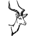 Noble Horns - laser-cut metal wall art