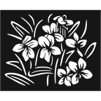 Bloom Cluster