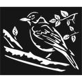 Dark Perch