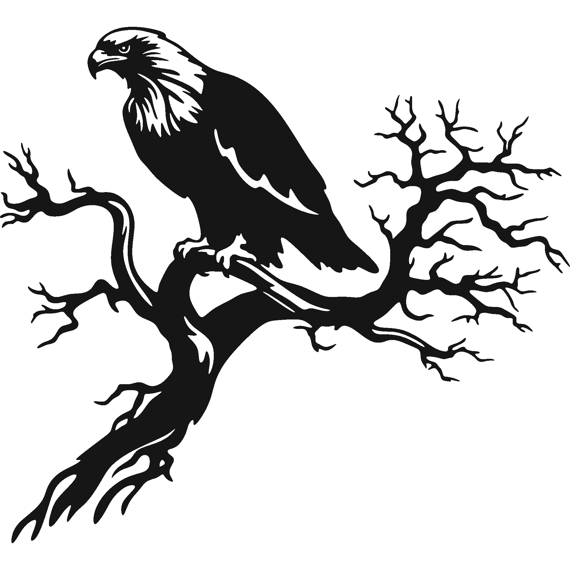 Last Branch