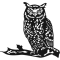 Night Watch