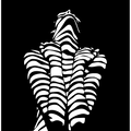 Second Skin